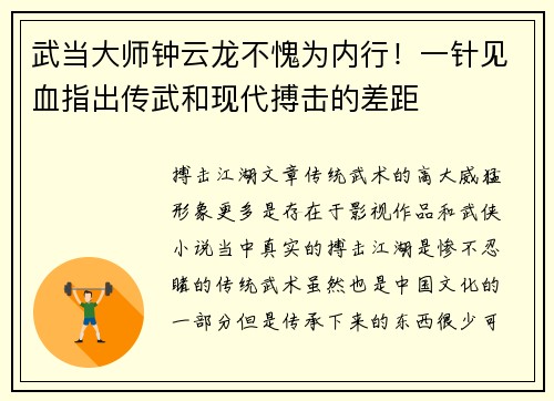武当大师钟云龙不愧为内行！一针见血指出传武和现代搏击的差距