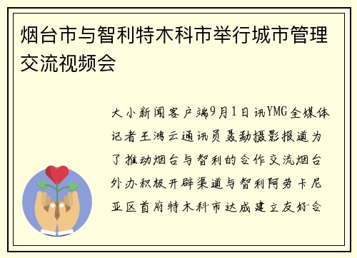 烟台市与智利特木科市举行城市管理交流视频会